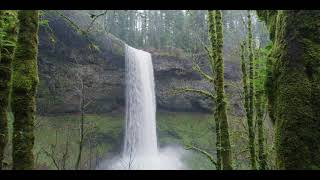 Sons da natureza que tranquilizam imediatamente com belas paisagens.