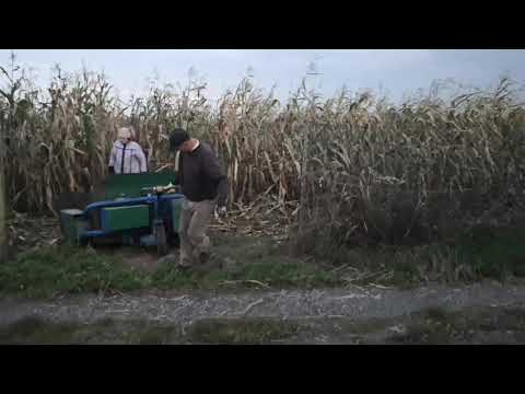 Paleciak elektryczny terenowy