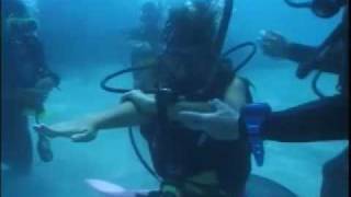 preview picture of video 'Kids learn to Scuba with captain greggs puerto galera'