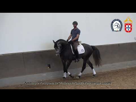 230626 13 Proj Ensino APSL&FEP - David Olsansky com Nabo da Pucara