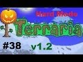 Terraria v1.2 Hard Mode #38 Я суммонером прохожу данж джунглей ...