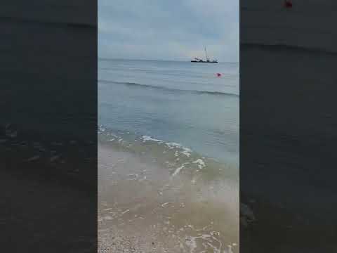 ٢٢ فبراير ٢٠٢٢