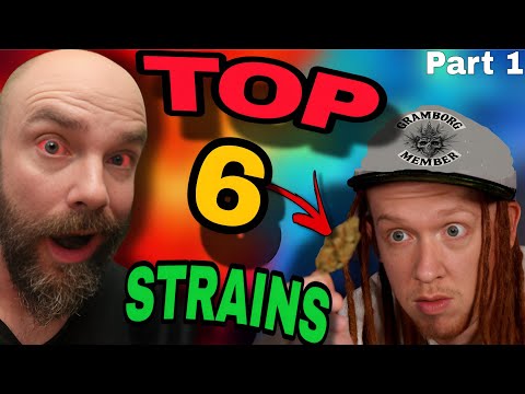 GRAMBO & Strain Show Matt Breaks Down 6 Must-Grow Cannabis Strains (Part 1)