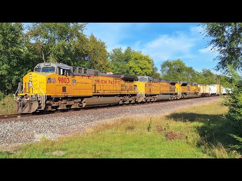 Dash 9 Rebuild Leads MCHAL!