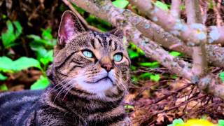 BABY SEASON🐥🐣🐰congratulations✨