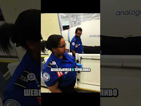 Пёс напарник путешествует на самолете.