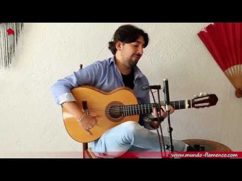 Antonio Rey, Bulerias