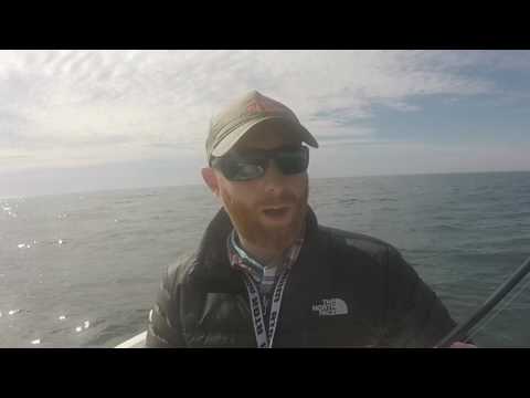 download lagu mp3 mp4 Black Sea Bass Pics, download lagu Black Sea Bass Pics gratis, unduh video klip Black Sea Bass Pics