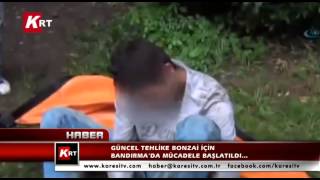 preview picture of video 'Güncel Tehlike Bonzai İçin Bandırma'da Mücadele Başlatıldı...'