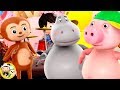 Sing And Dance Little Baby Bum Animal Club Fun Songs For Kids