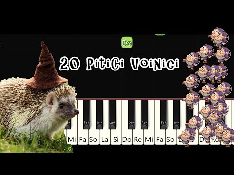 20 PITICI VOINICI Tutorial PIAN Incepatori