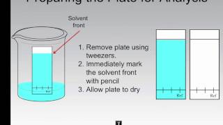 Thin Layer Chromatography - Performing an Analysis