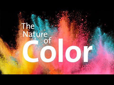 The Nature of Color | American Museum of Natural History