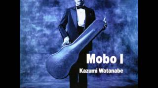 Kazumi Watanabe - American Short Hair