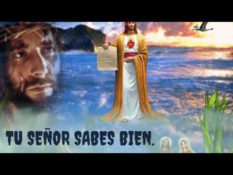 Tu Señor Sabes bién. Con Letras Música Católica
