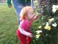 Gracie Smelling A Flower