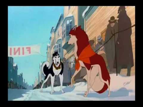 Balto And Jenna Needle Through A Bug