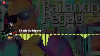 Charly Rodríguez - Bailando Pegao (Dj-V. Remix)