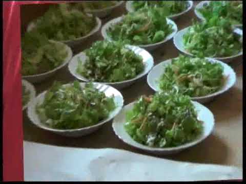 Dubocanac,M.Jasenovac 5.2017g...