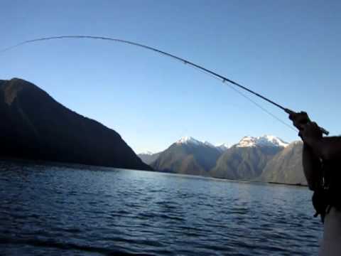 Lago Yelcho