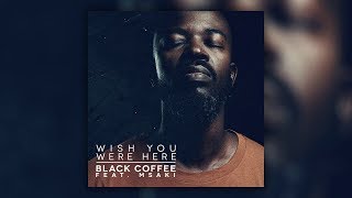 Black Coffee - Wish You Were Here feat. Msaki (Official Video) [Ultra Music]