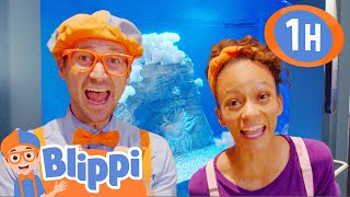 Blippi and Meekah Explore an Aquarium! | 1 HOUR OF BLIPPI! | Celebrating International Women's Day!