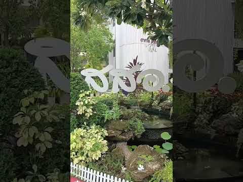 วิศรุต