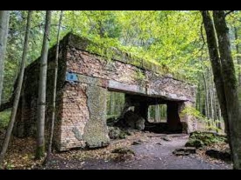 Hitler's Abandoned Bunker Wolf's Lair Poland #nazi #wolfslair #poland