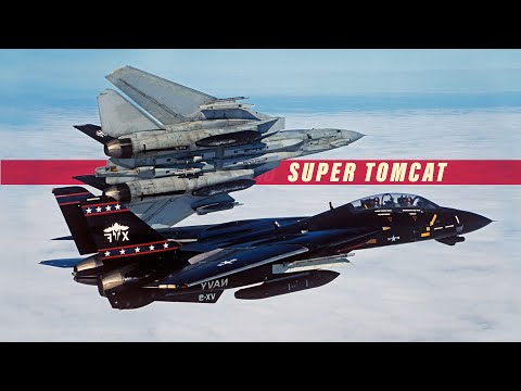 The Lost Potential of the Tomcat