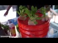 Teens create automated aeroponics garden kit with NASA tech