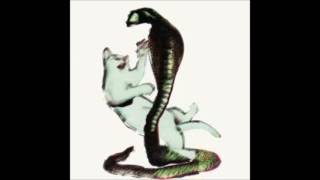 LES SAVY FAV - The Cat And The Cobra [full]