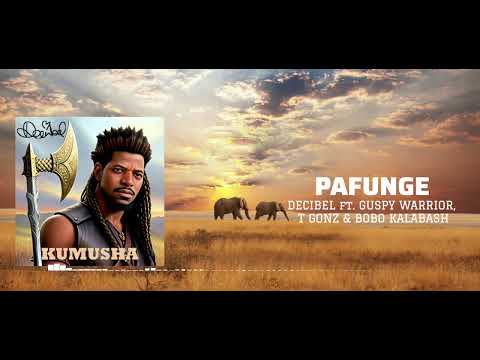 Pafunge - Decibel ft @guspy_warrior , @tigonzi and @Bobokalabashofficial
