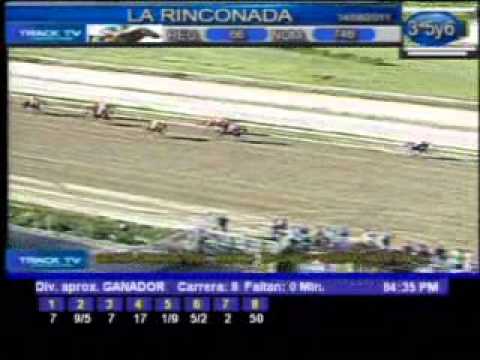 Resumen Domingo, 14 de Agosto de 2011 - La Rinconada