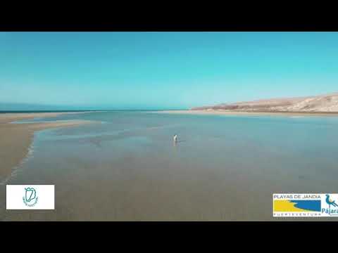 U.D. Gran Tarajal vs C.D. Tenerife B