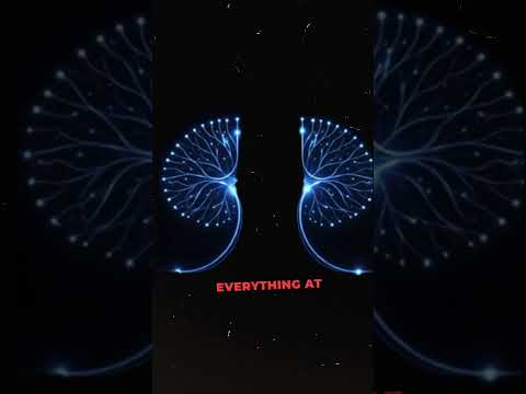 Neuronaut video thumbnail