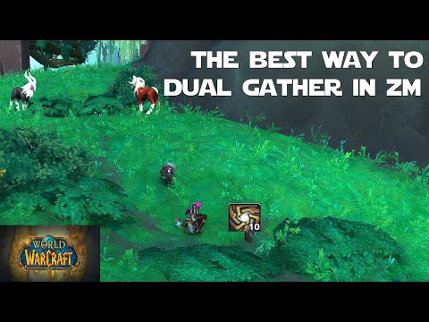 How to Dual Gather in Zereth Mortis!  The Best ZM Dual Gathering Route! - WoW Gold Making Guides