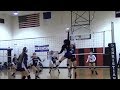 Sara Torres volleyball highlight video 2017