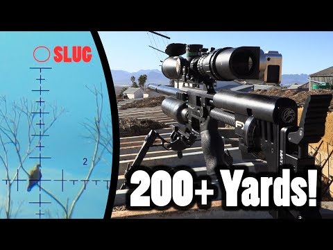 200+ Yards PCP Airgun Hunting - Pushing the Limits!