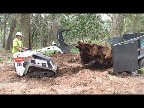 Mt85 Vs 4000lb Stump