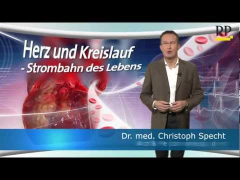 Unser Herz -- Anatomie und Erkrankungen erklärt am Modell von 3B Scientific