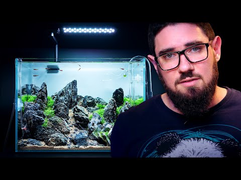 , title : 'This Could Be Your First Planted Tank - Beginners' Guide for a NANO AQUASCAPE - Aquascaping Tutorial'