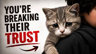 7 Mistakes That Break Your Cat’s Trust