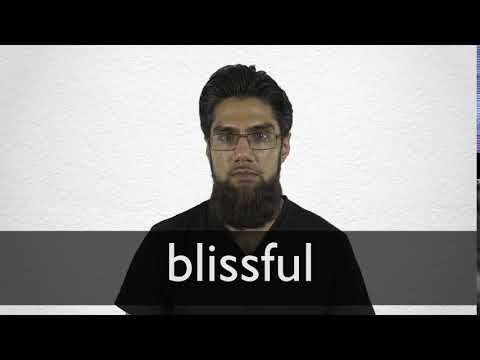 bliss definition bliss definition