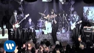 Vargas Blues Band - Falling on hard time