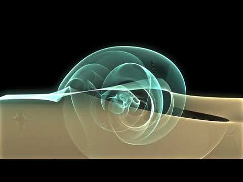 Lumicles CCK Trailer