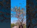 Suhana Khan New Hot Reels Suhana Khan Tik Tok Dance Suhana Khan Roast Suhana Khan Hot Bikini Shorts