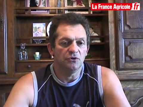 comment demarrer elevage chien