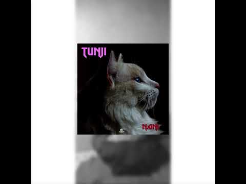 Tunji - NANI(Soundgasm by Rema refix) prod by hitsound x kezzi