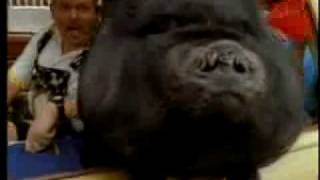 Cledus T. Judd - Skoal The Grundy County Spitting Incident ( Official Music Video )