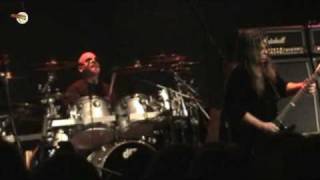 Budgie, Parents, Ucho, Gdynia, Poland